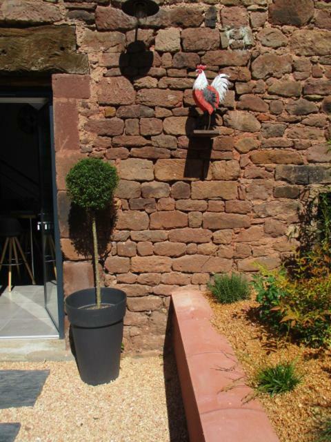 La Ferme Du Duzou Villa Saint-Cyprien-sur-Dourdou Exterior photo